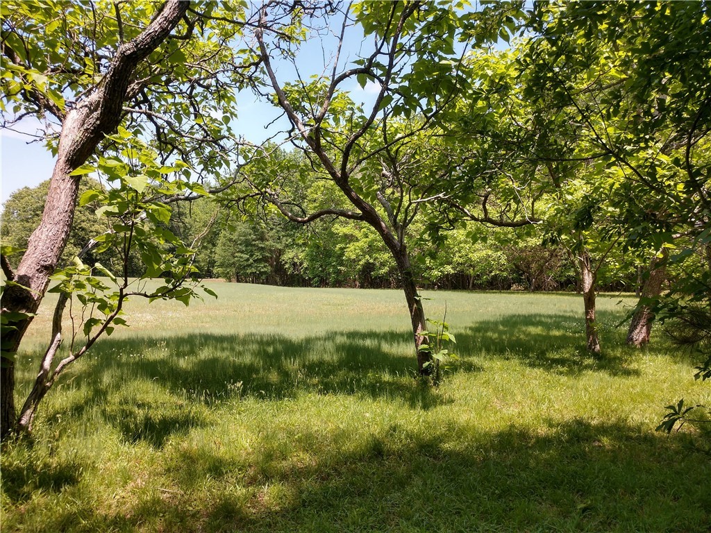 500 Howard McGee Road Anderson, SC 29621 - Photo 7 of 50