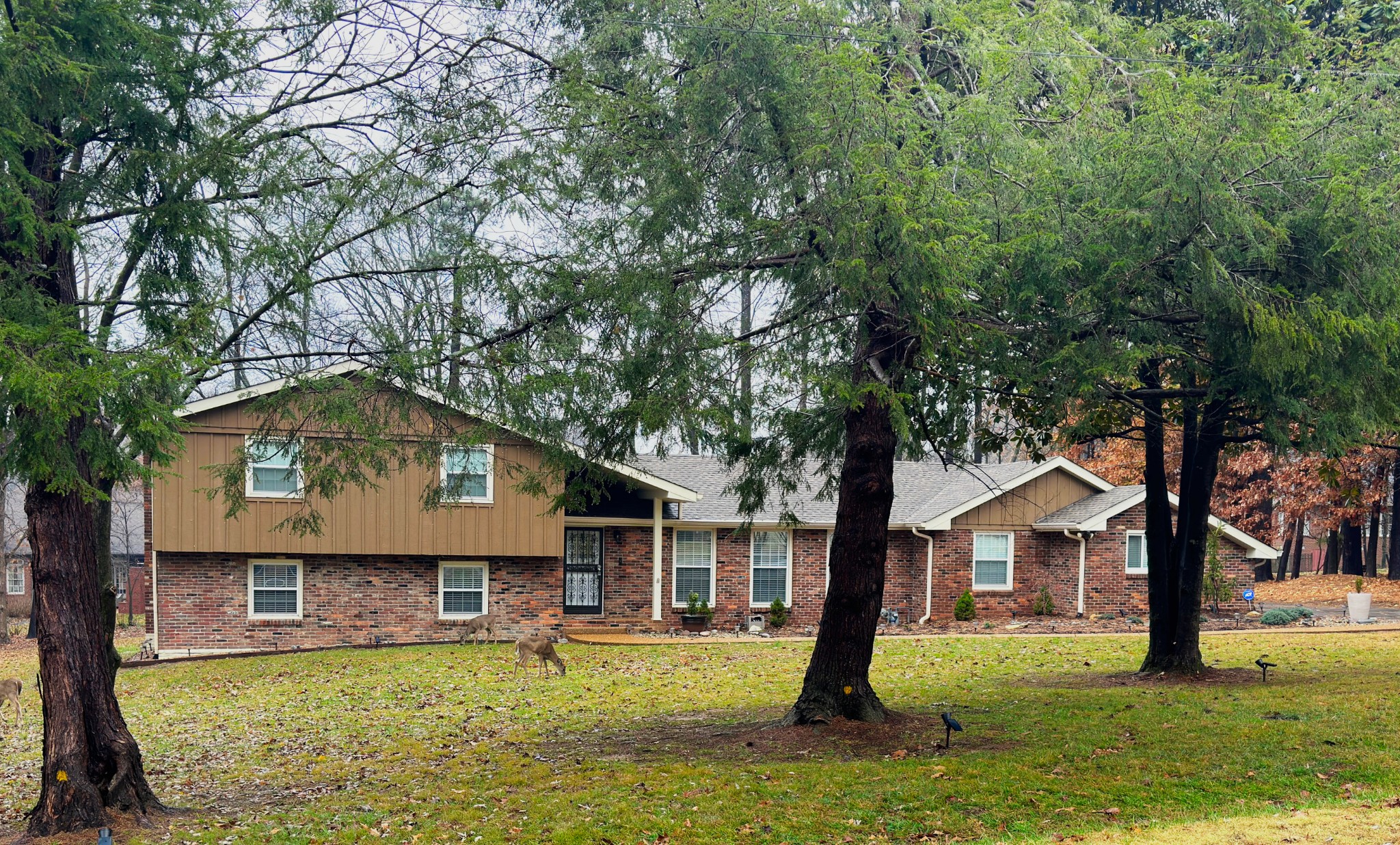 303 Raintree Drive Hendersonville, TN 37075 - Photo 2 of 36 front view of a house with a yard