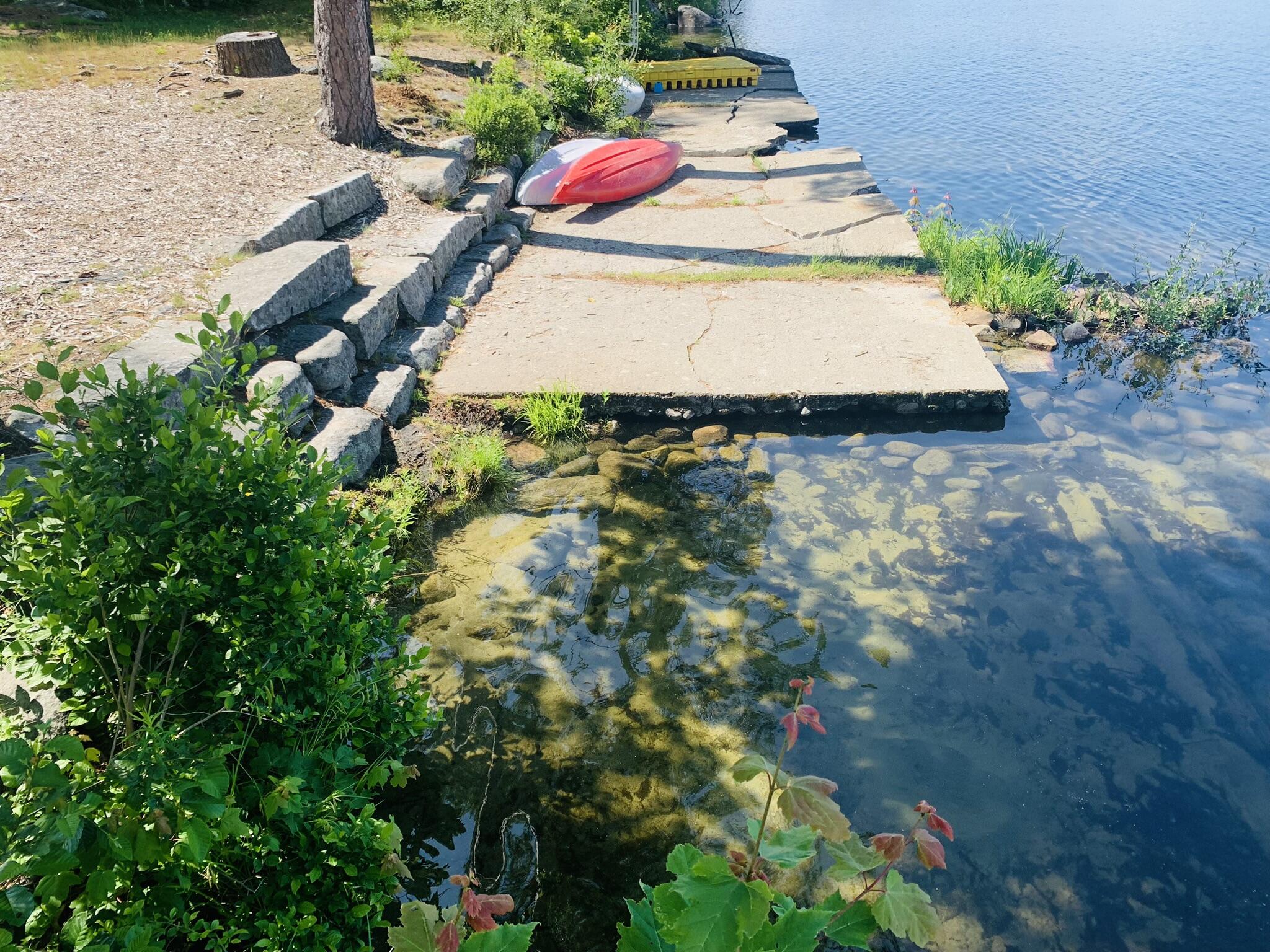1172 West Road Belgrade, ME 04917 - Photo 47 of 53 IMG_7845
