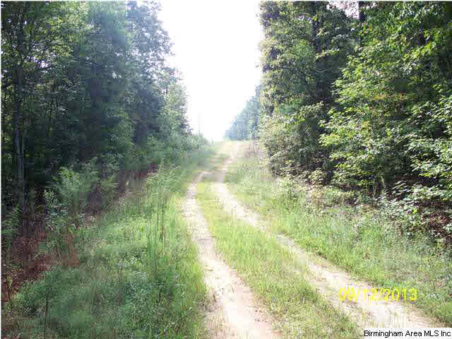 78 Highway 78, Unit 85 Fruithurst, AL 36262 - Photo 5 of 11