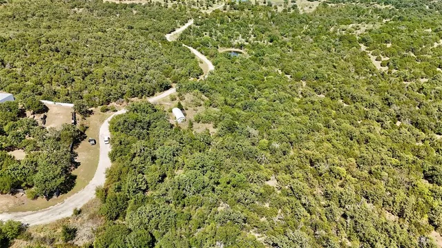 a close up of a plant