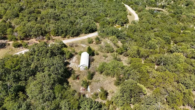 a close up of a plant in a garden