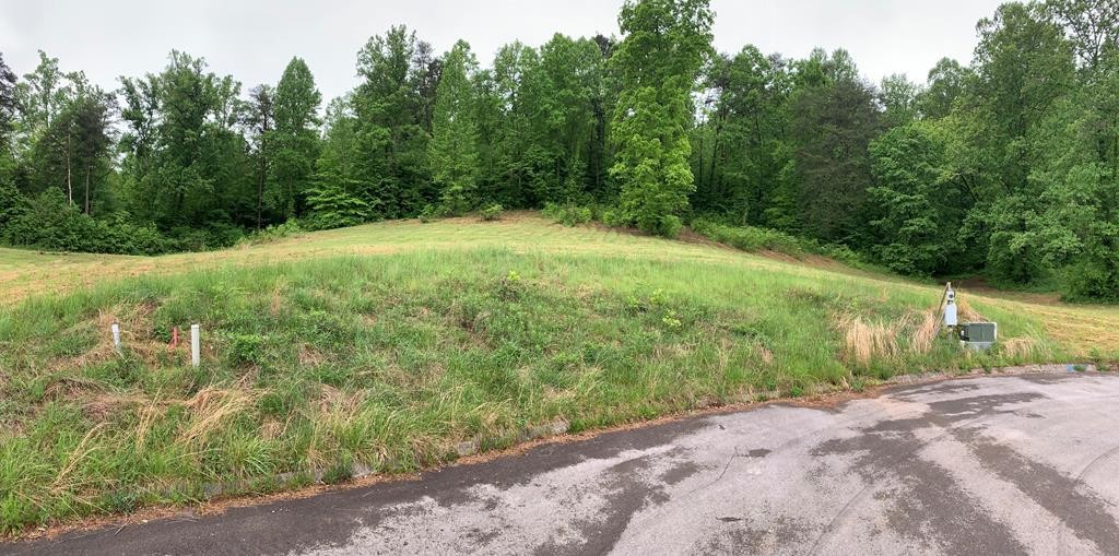 7 Briar Ridge Lane Strawberry Plains, TN 37871 - Photo 1 of 1