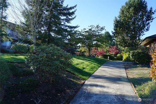 a view of yard with flowers and trees