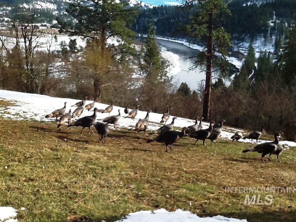 307 Locust Road Kamiah, ID 83536 - Photo 50 of 50 Additional content
