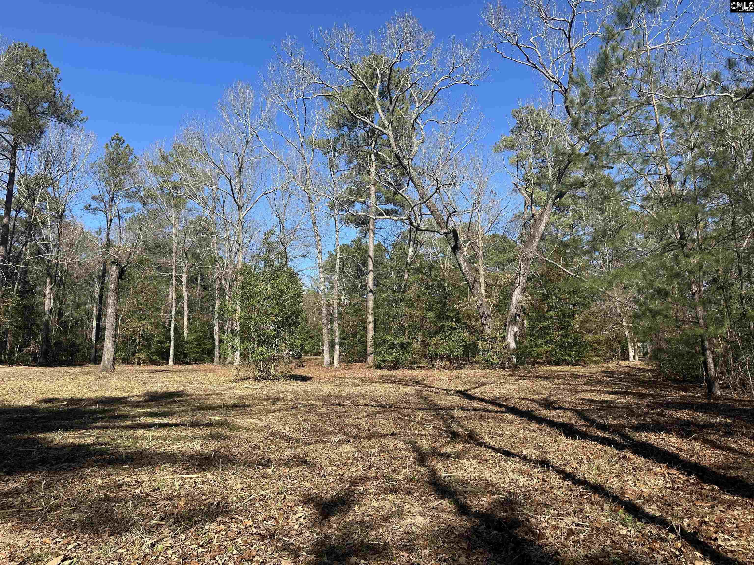 622 Juniper Springs Road Gilbert, SC 29054 - Photo 10 of 10