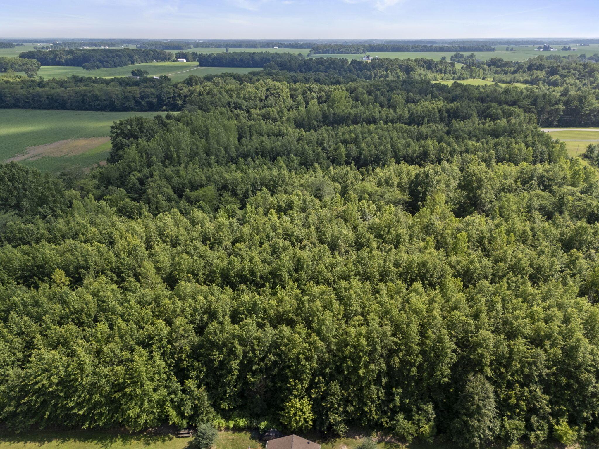 0 East River Road Marion, OH 43302 - Photo 7 of 20 Aerial