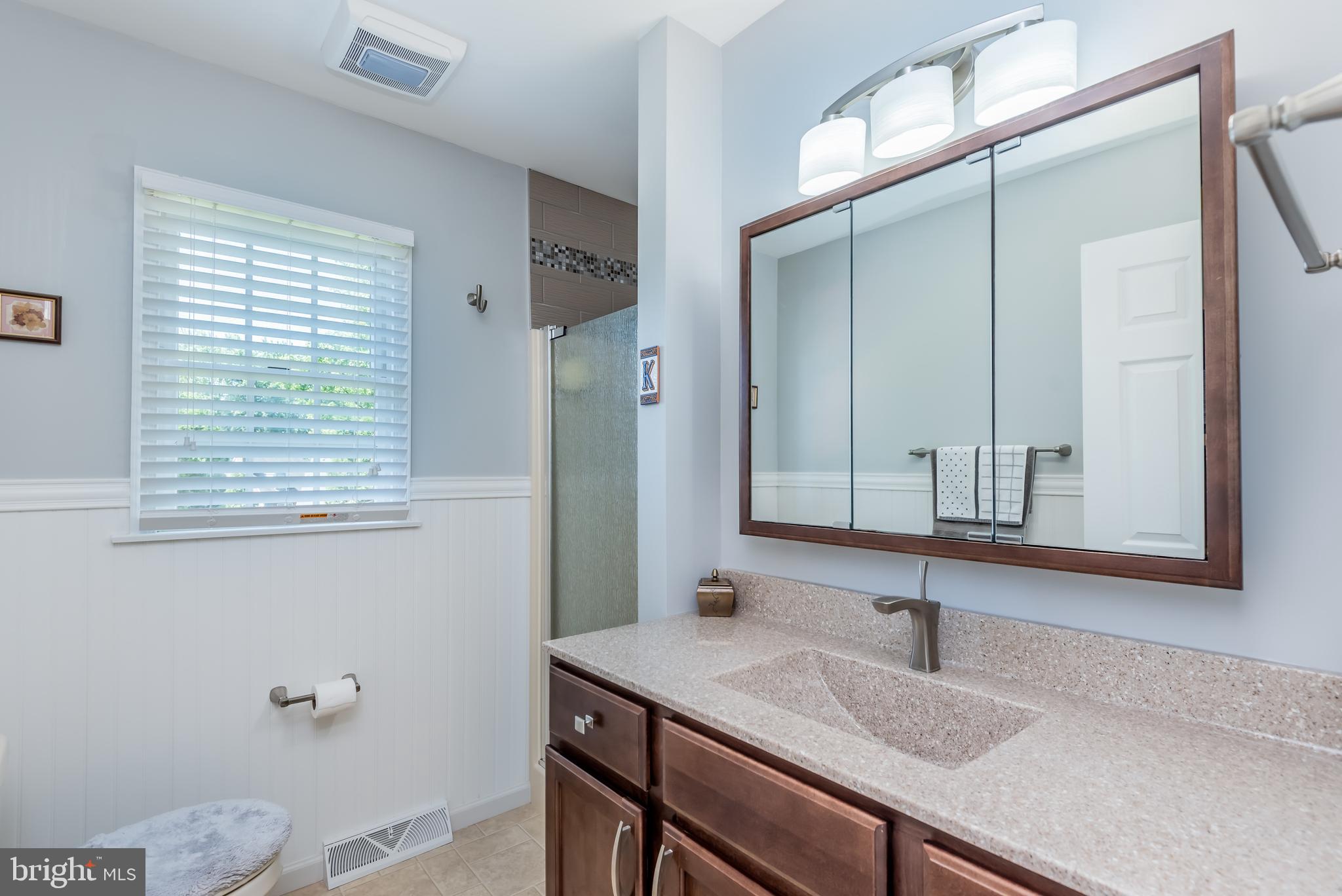 2004 Raleigh Road Hummelstown, PA 17036 - Photo 20 of 32 Master Bath with Updated Vanity-Fixtures-Shower