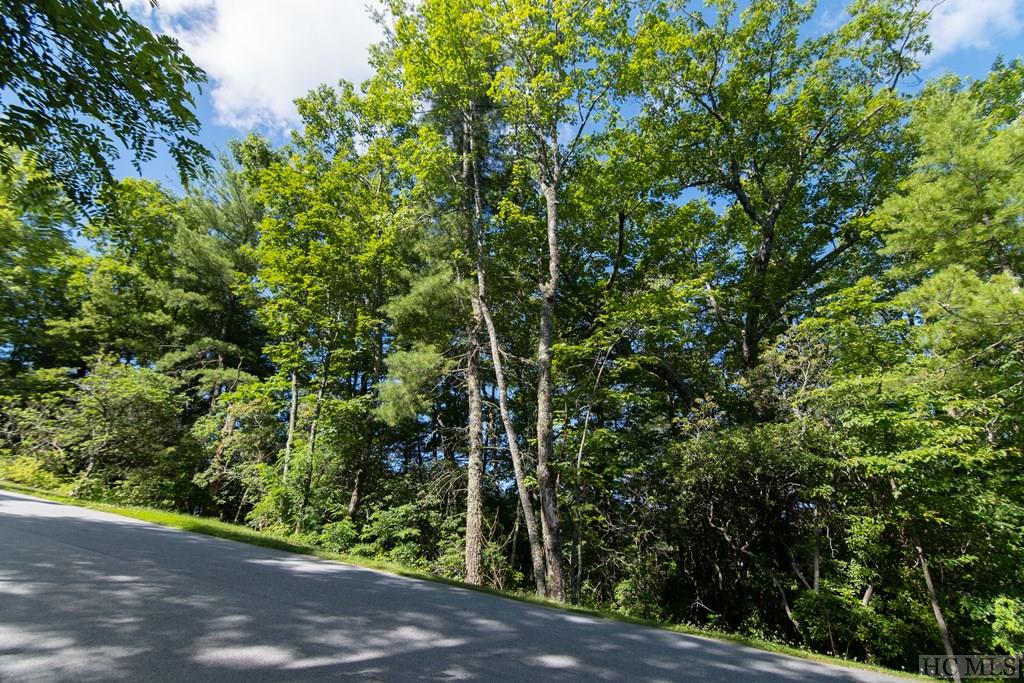 Lot 2 East Ridge Road Cashiers, NC 28717 - Photo 2 of 14 Gallery Image 2