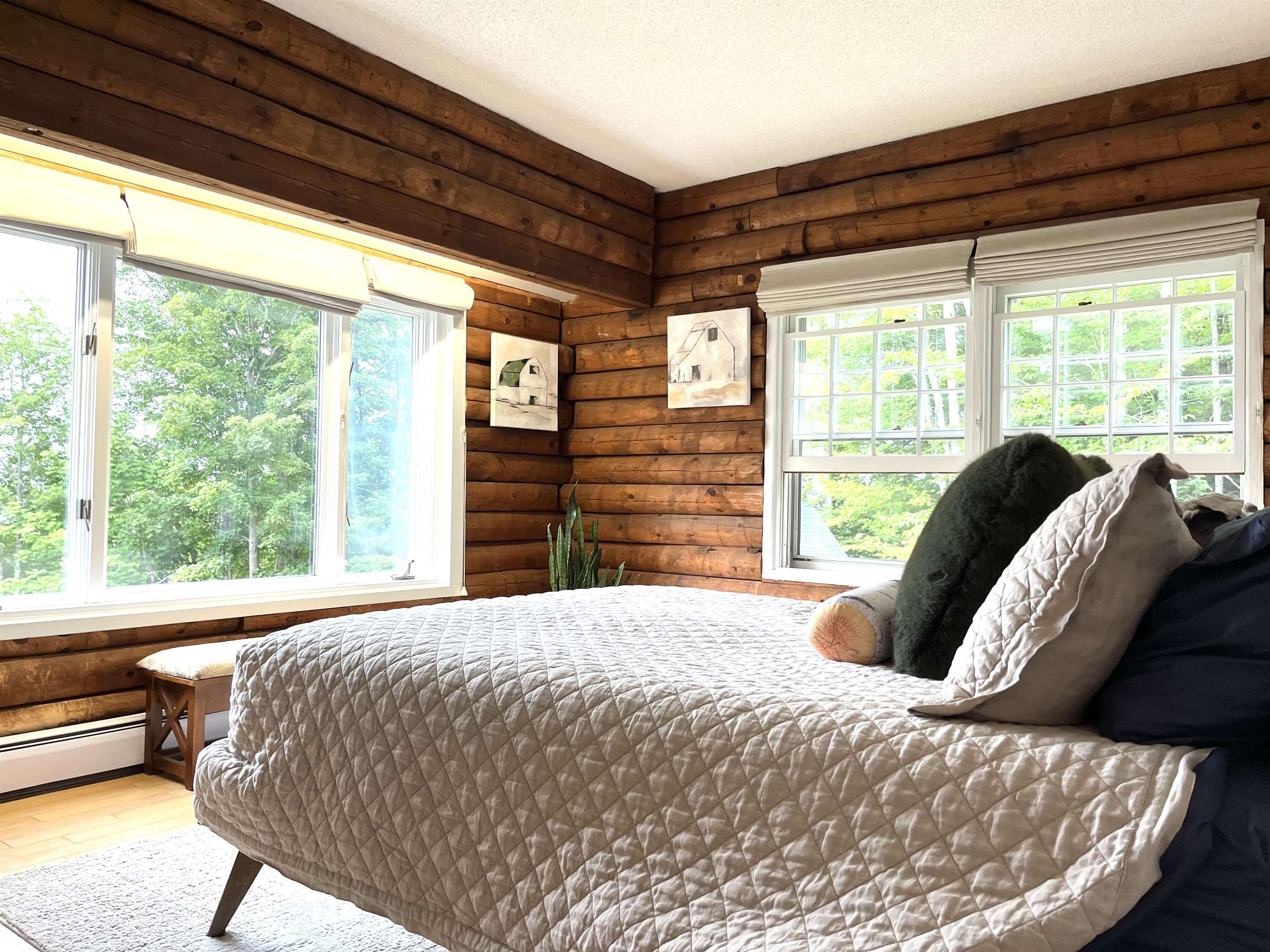 290 Spring Hill Road Morristown, VT 05661 - Photo 11 of 17