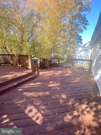 a view of a yard with plants and trees