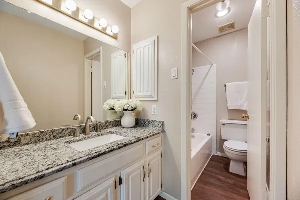 a bathroom with a granite countertop sink and a mirror