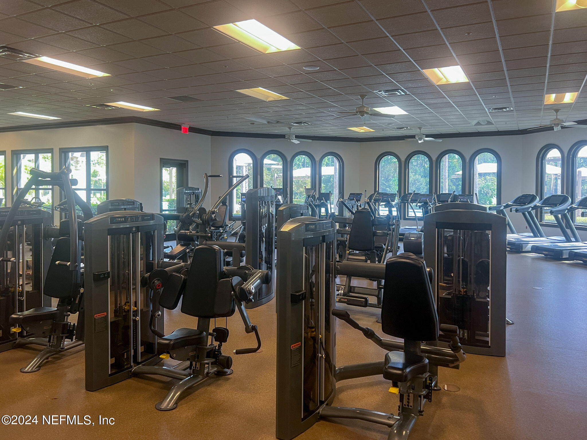 552 Tree Side Lane Ponte Vedra, FL 32081 - Photo 65 of 79 ISO Perfect 552 Tree Side Ln PVB FL 065