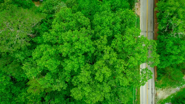 $69,500 | 7441 Short Tail Springs Road, Harrison, TN 37341