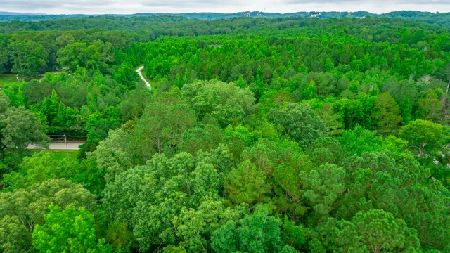 $69,500 | 7441 Short Tail Springs Road, Harrison, TN 37341