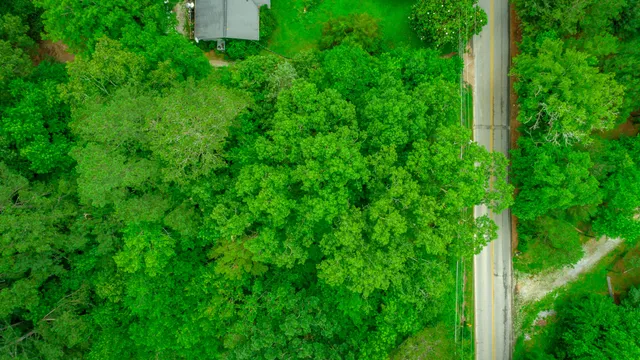 $69,500 | 7441 Short Tail Springs Road, Harrison, TN 37341