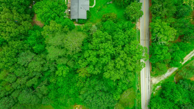 $69,500 | 7441 Short Tail Springs Road, Harrison, TN 37341