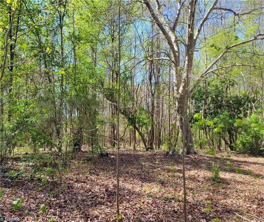 4650 Huntingwood Road Ramseur, NC 27316 - Photo 2 of 4