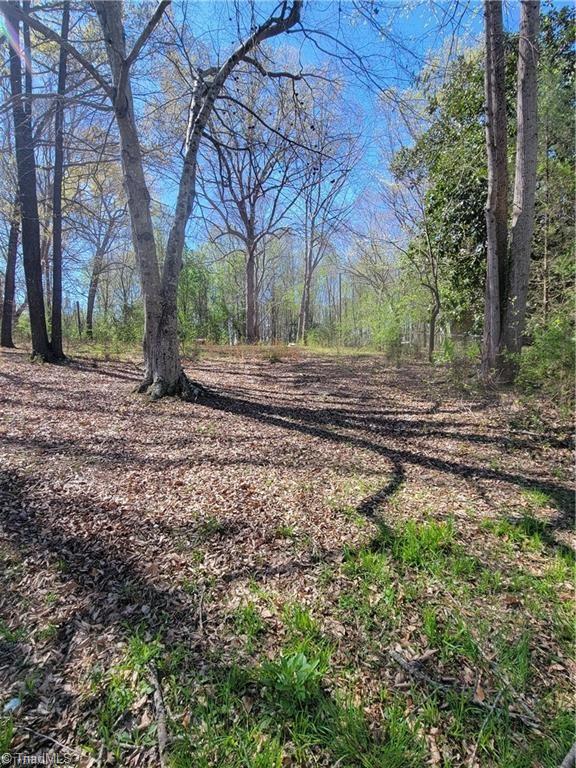 4650 Huntingwood Road Ramseur, NC 27316 - Photo 3 of 4
