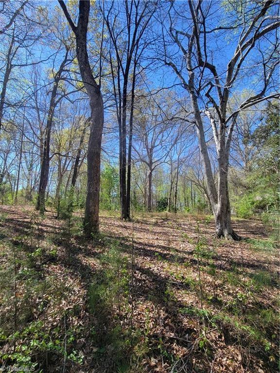 4650 Huntingwood Road Ramseur, NC 27316 - Photo 4 of 4