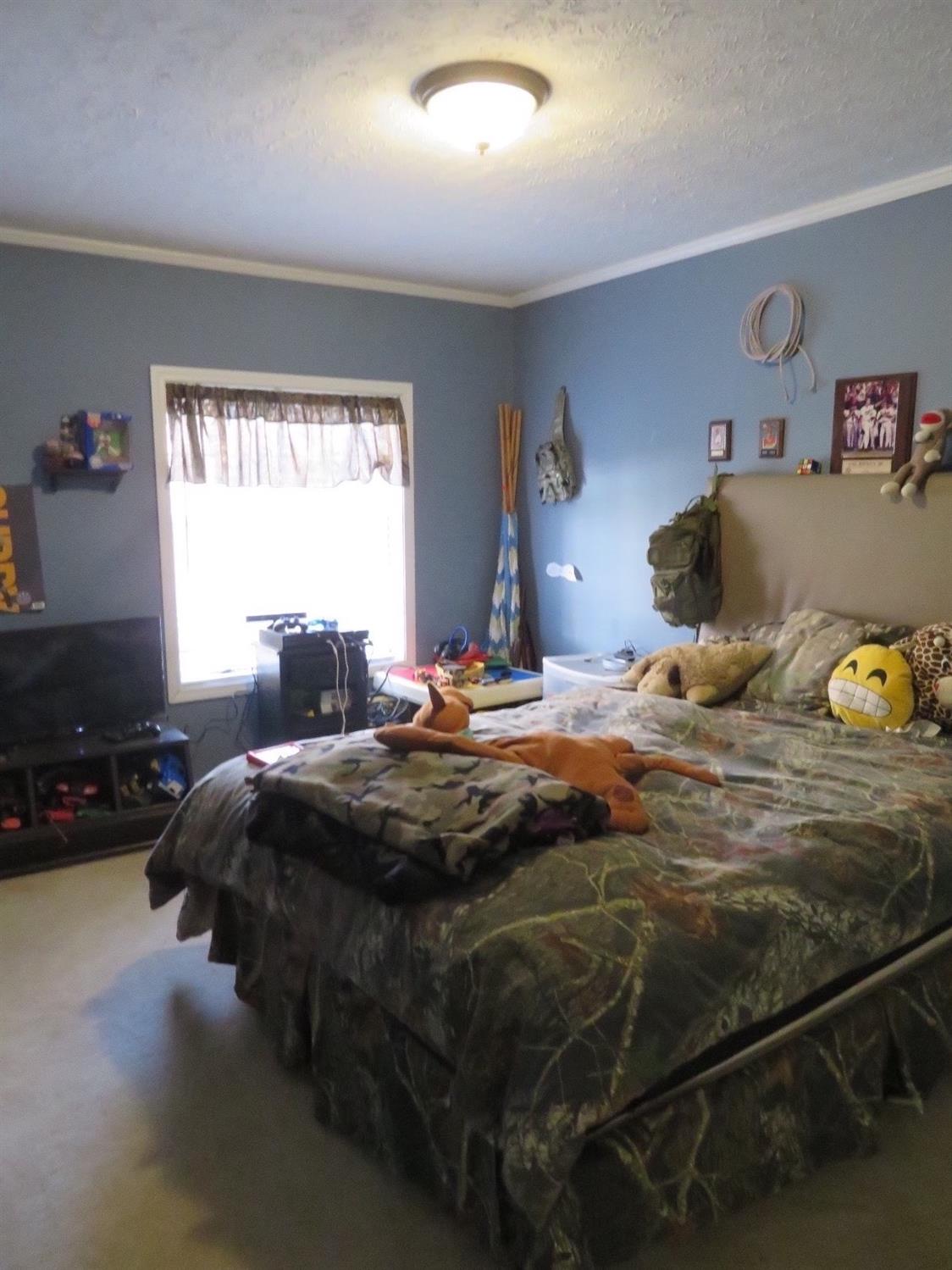 25692 West County Line Road Sunman, IN 47041 - Photo 12 of 21