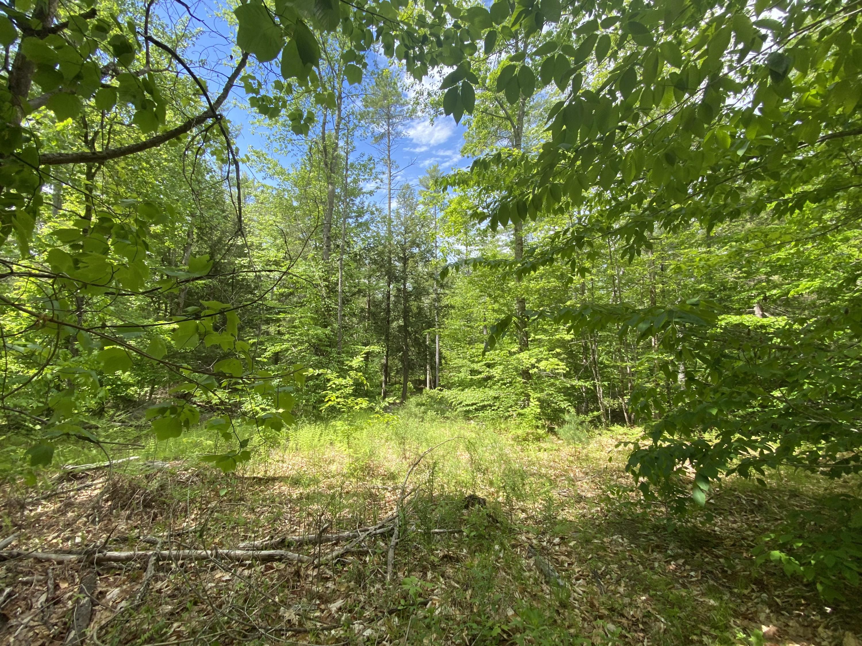 422 Appleton Road Union, ME 04862 - Photo 15 of 17 IMG_4118