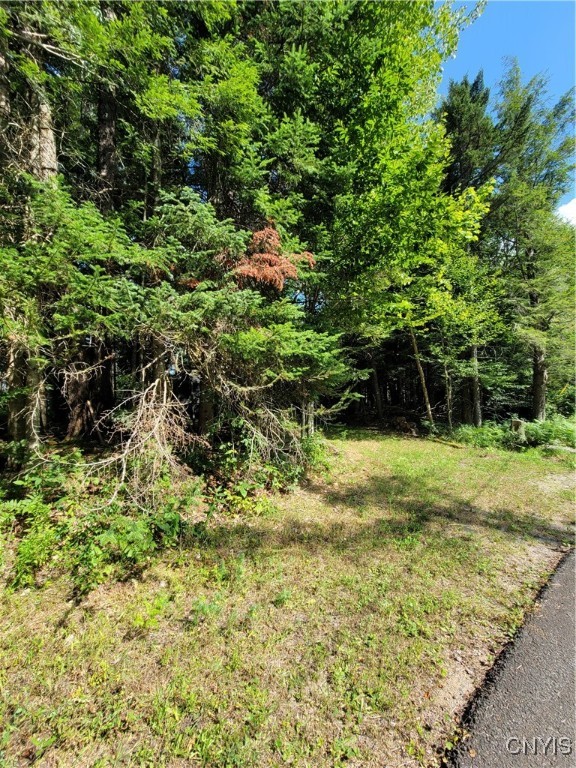 3167 Daywood Road Forestport, NY 13494 - Photo 11 of 12