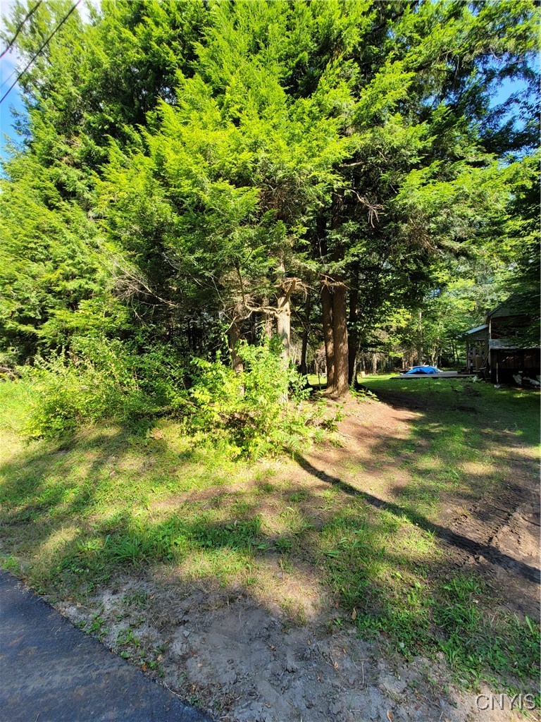 3167 Daywood Road Forestport, NY 13494 - Photo 12 of 12