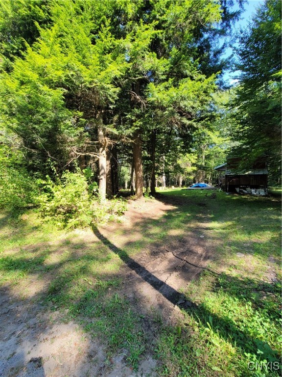 3167 Daywood Road Forestport, NY 13494 - Photo 2 of 12