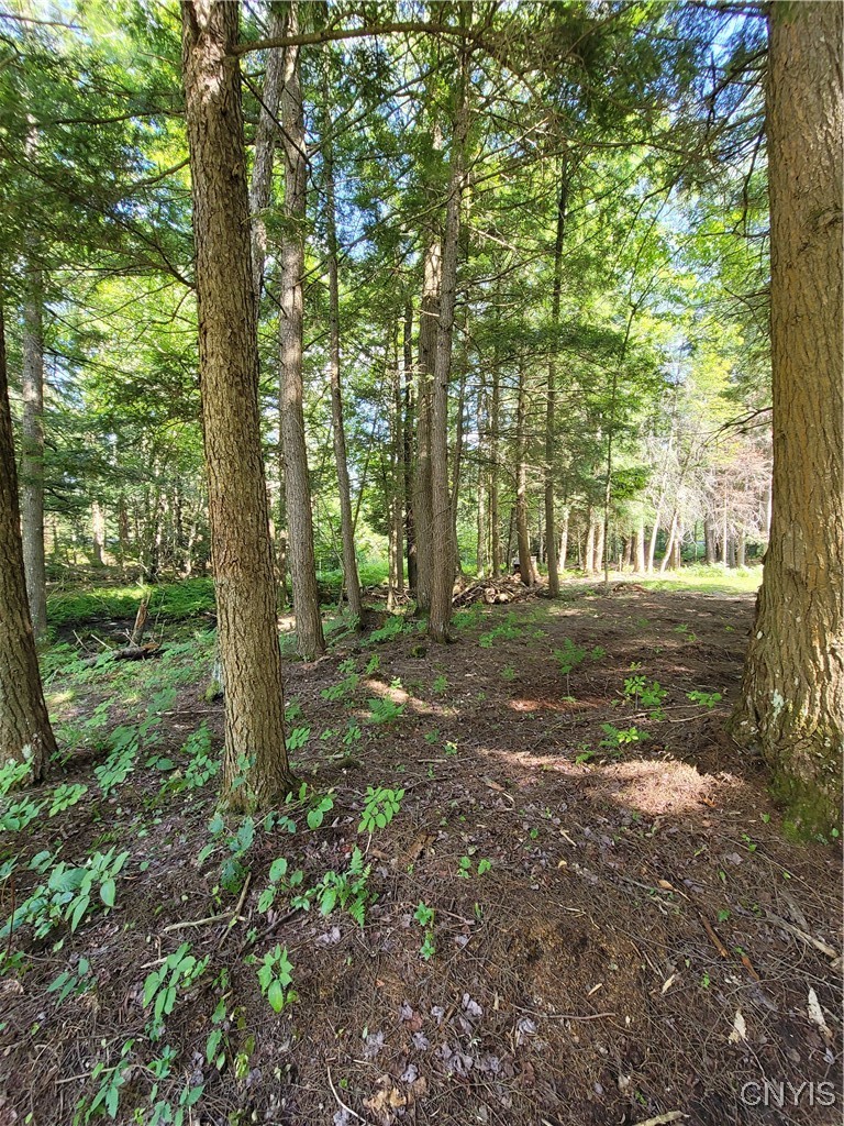 3167 Daywood Road Forestport, NY 13494 - Photo 4 of 12