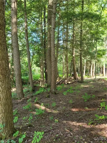 $129,900 | 0 Daywood Drive, Woodgate, NY 13494