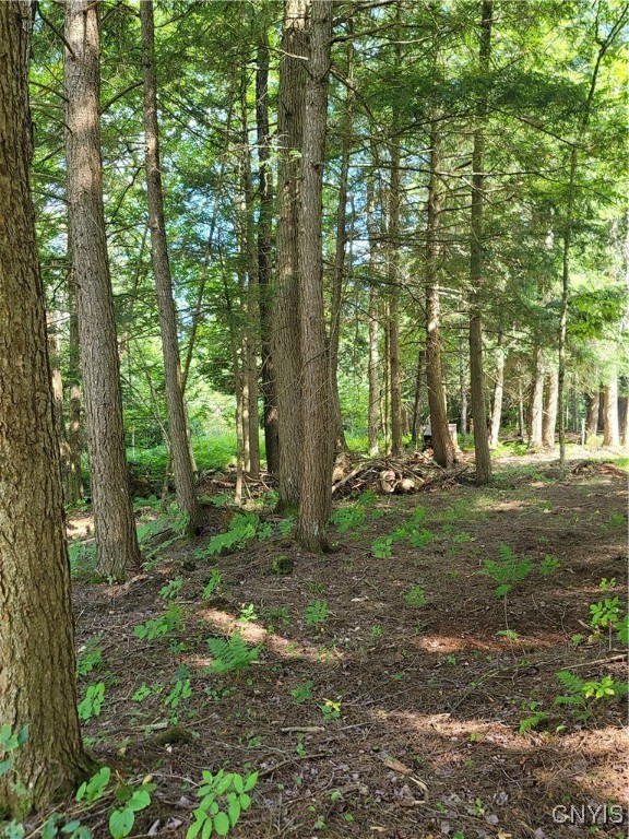 3167 Daywood Road Forestport, NY 13494 - Photo 5 of 12