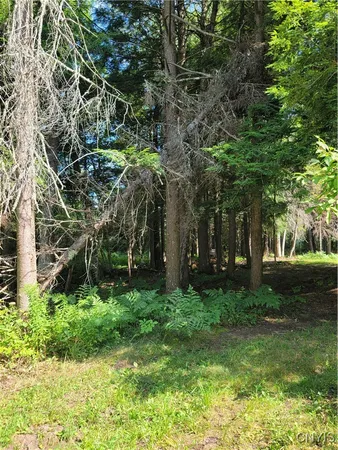 $129,900 | 3167 Daywood Road, Forestport, NY 13494