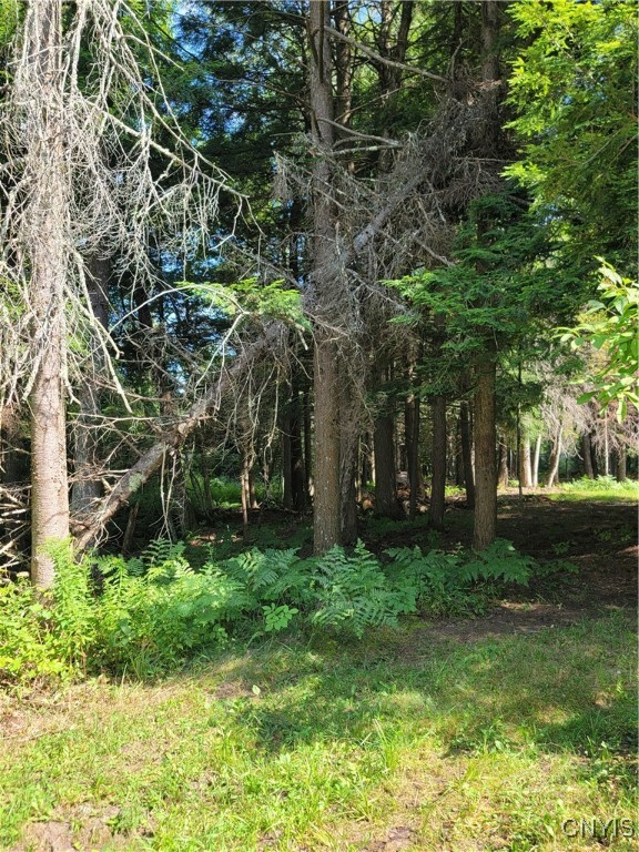 3167 Daywood Road Forestport, NY 13494 - Photo 7 of 12