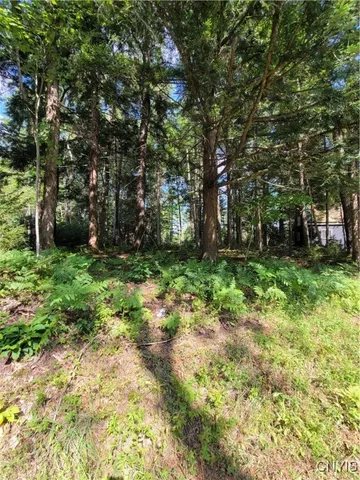 $129,900 | 0 Daywood Drive, Woodgate, NY 13494