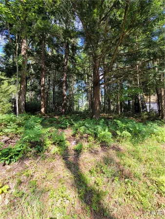 $129,900 | 3167 Daywood Road, Forestport, NY 13494