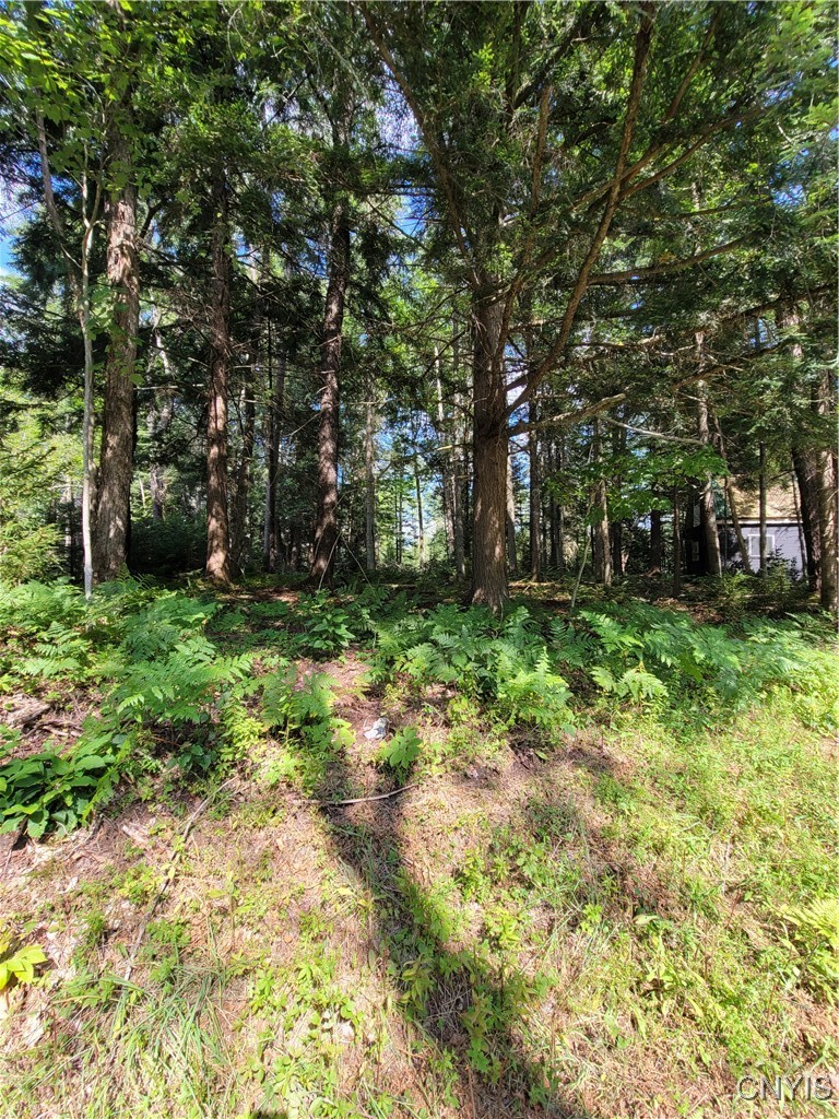 3167 Daywood Road Forestport, NY 13494 - Photo 8 of 12