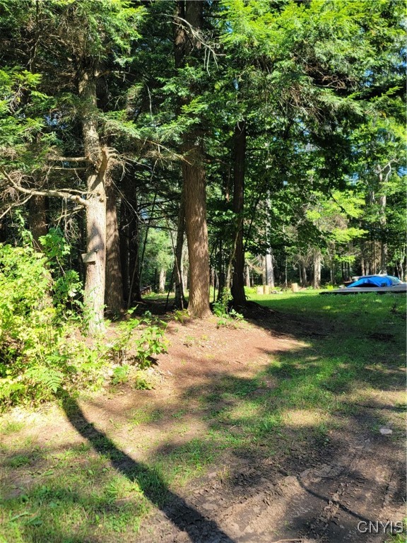 3167 Daywood Road Forestport, NY 13494 - Photo 9 of 12