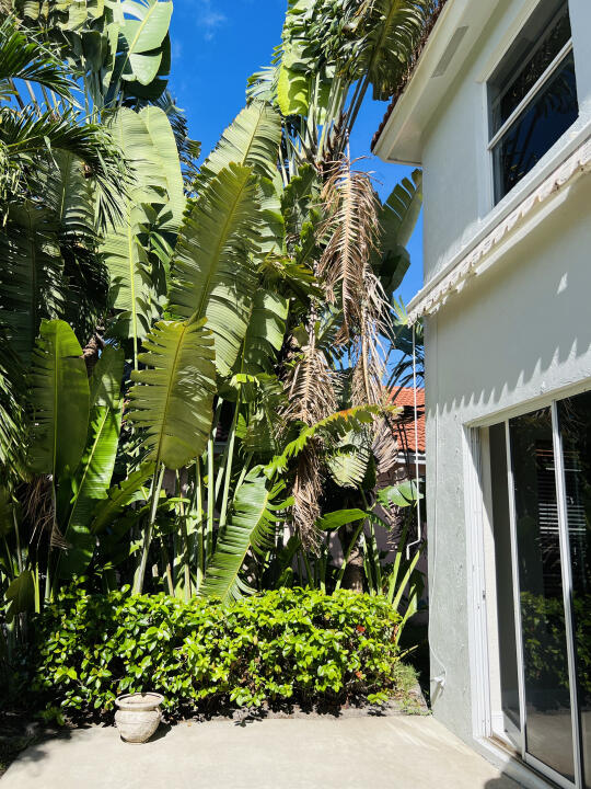 6610 Windmill Way Greenacres, FL 33413 - Photo 34 of 40 a picture of plants