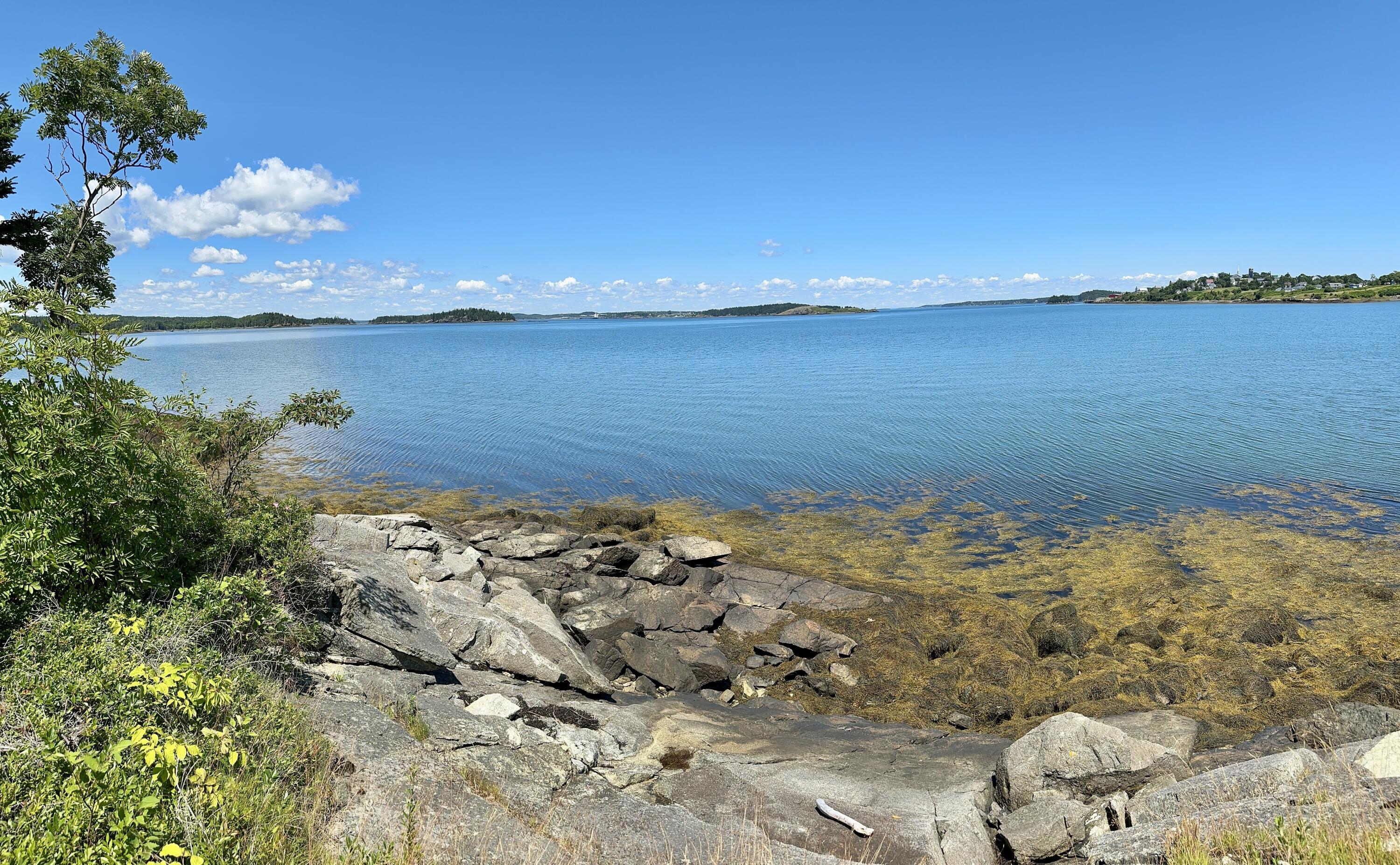54 Diamond Point Road Lubec, ME 04652 - Photo 84 of 100 IMG_2639