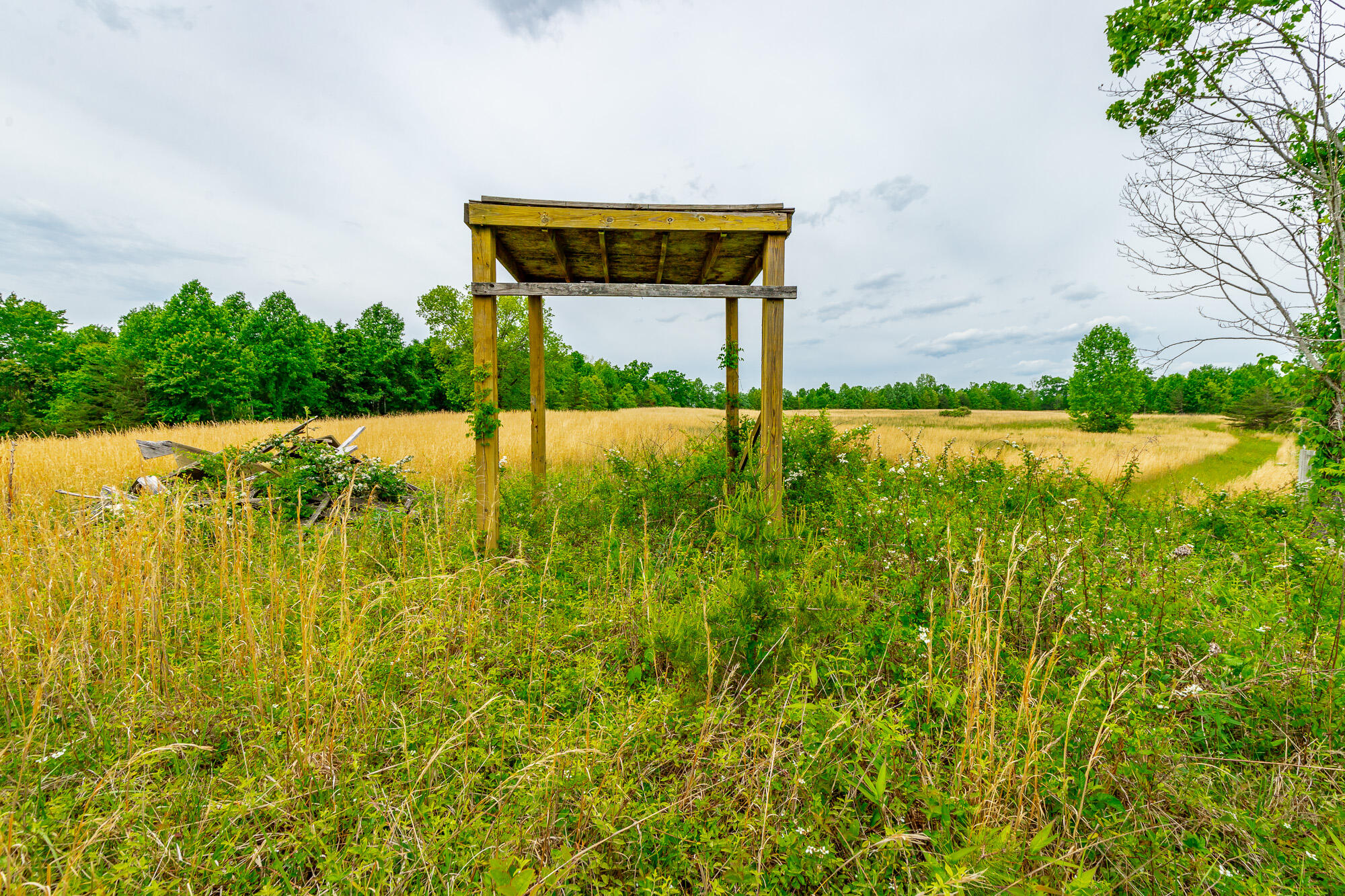 0 Ray Gadd Road Graysville, TN 37338 - Photo 73 of 109 Ray Gadd Road Lot HD-18