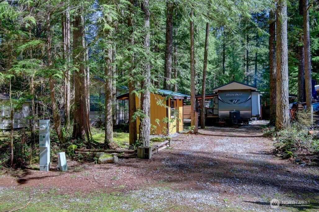 64 Wilderness Way Deming, WA 98244 - Photo 5 of 33 a view of a house with backyard and trees