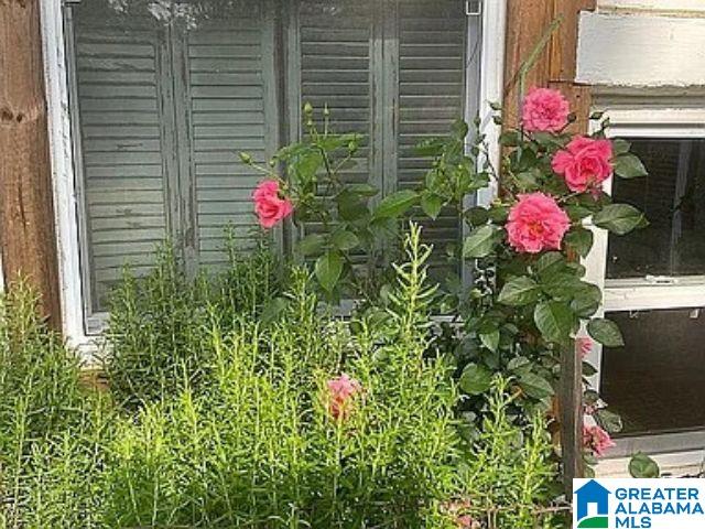 237 Marion Stough Road Fayette, AL 35555 - Photo 44 of 59