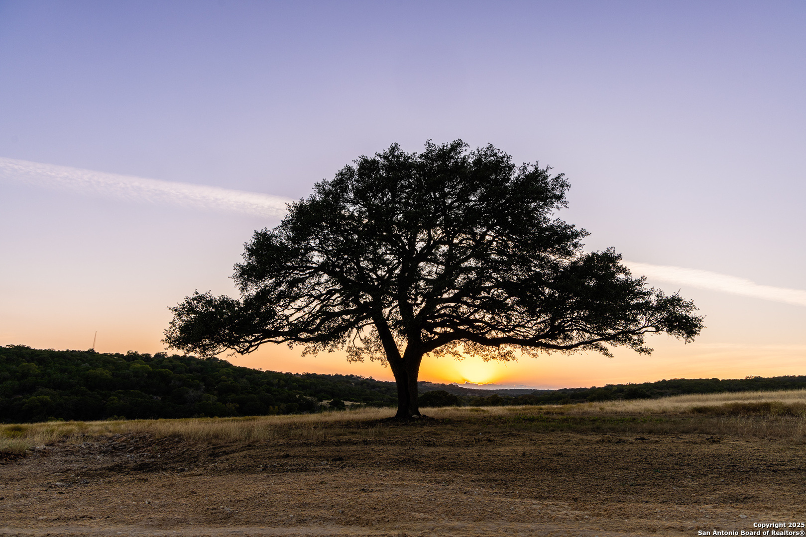 3288 Highway 39 Hunt, TX 78024 - Photo 11 of 50