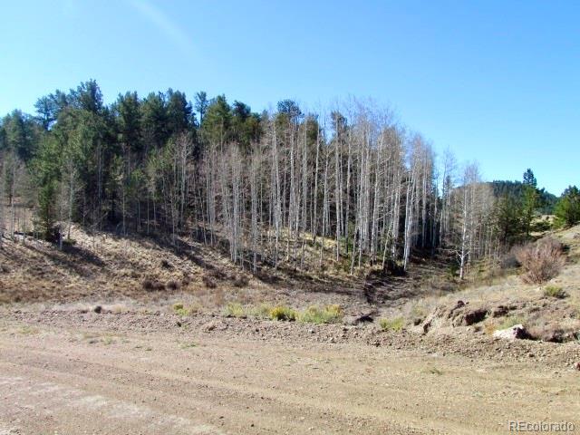 Cherokee Trail Hartsel, CO 80449 - Photo 11 of 28 a view of a dry yard with trees in the background