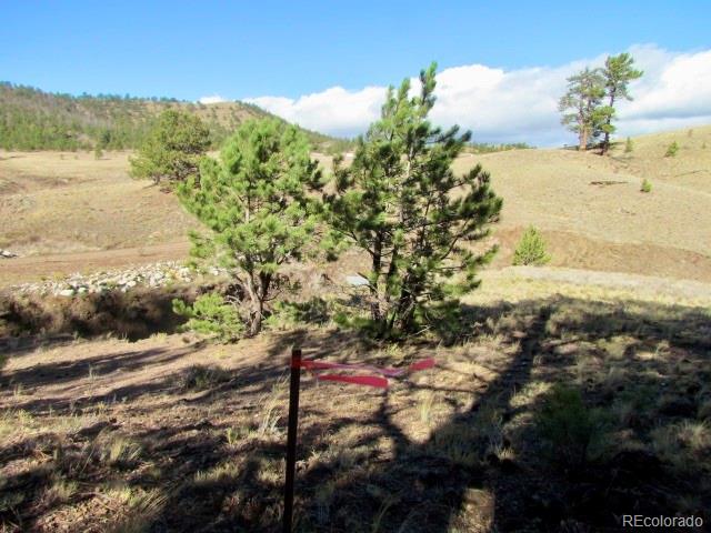 Cherokee Trail Hartsel, CO 80449 - Photo 12 of 28 a view of ocean