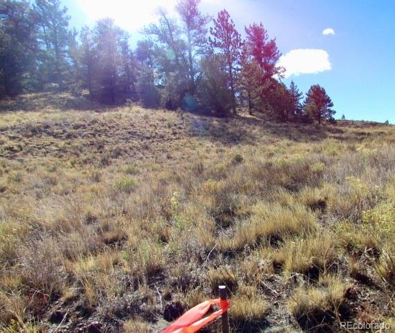 Cherokee Trail Hartsel, CO 80449 - Photo 13 of 28 a backyard of a house with lots of green space