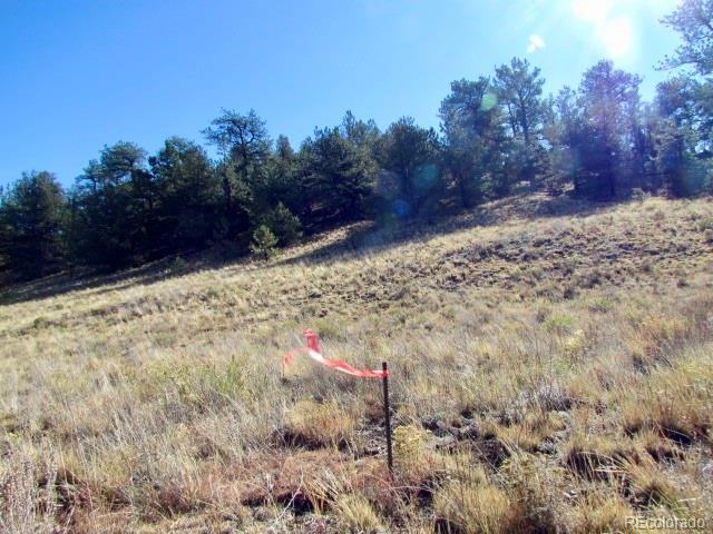 Cherokee Trail Hartsel, CO 80449 - Photo 14 of 28 a view of a yard with trees
