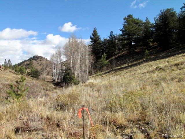 Cherokee Trail Hartsel, CO 80449 - Photo 15 of 28 a view of a dry yard