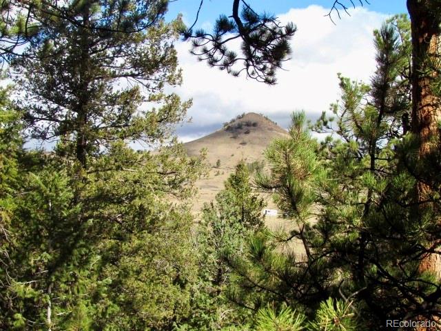 Cherokee Trail Hartsel, CO 80449 - Photo 16 of 28 a view of a tree in front of a house